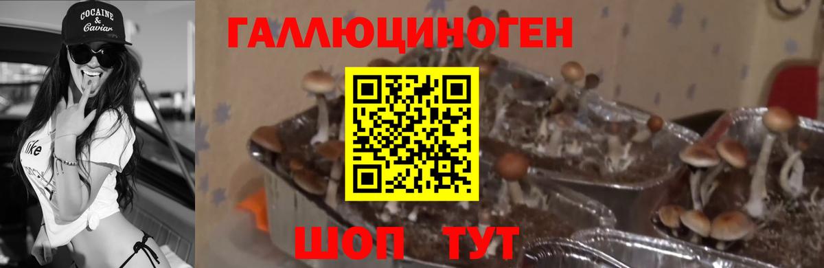 Псилоцибиновые грибы ЛСД  Вход с VPN  Магнитогорск  наркотики  Псилоцибиновые грибы ЛСД 
